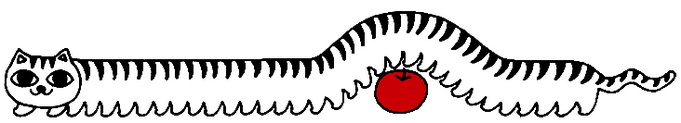 long cat with apple underneath